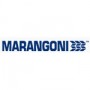 A Marangoni megerstette eurpai jelenltt